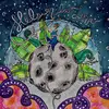 Nova Love - @nova_di_gra - TikTok