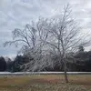 Martin Nova - @martin.nova2 - TikTok