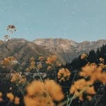 Nova Martin - @nova_martin581 - Instagram