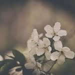 Nova Martin - @nova_martin604 - Instagram