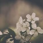 Nova Martin - @nova_martin594 - Instagram