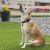 Nova Martin - @supernova9911 - TikTok