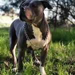 Nova - @_nova_martinez - Instagram