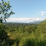 Nova Martinez - Facebook