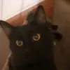 conovamcgrew4 - @conovamcgrew4 - TikTok