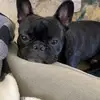 nova_moore1 - @nova_moore1 - TikTok