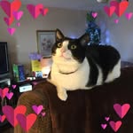Nova Parks - @nova.parks.1 - Instagram