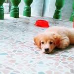 Nova Pearl Layague - @novs_avon - Instagram