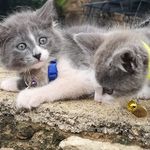 Adventures of Nova & Quincy - @nova.quincy - Instagram