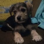Nova Quinn - @nonstopnovaquinn - Instagram