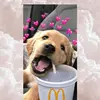 user2465287131643 - @novarichards1 - TikTok