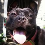 Nova Richardson - @zoomnovazoom - Instagram