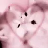 _daya - @safo_nova - TikTok