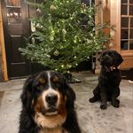 nova & tucker - @novaandtucker - Instagram