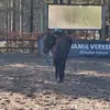 T&N - @tucker.en.nova - TikTok