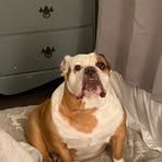 Nova Underwood - Facebook