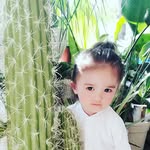 novawang - @novawang116 - Instagram