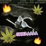 Nova Ward - @nova_ward - Instagram