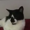 novaleighskyward - @novaward5 - TikTok