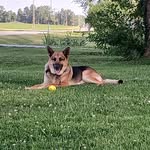 nova wilson - @wilsonnova327 - Instagram