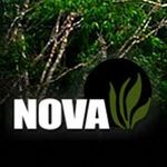 Nova USA Wood Products - @novausawood - Instagram