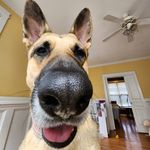 Nova Young - @nova_young101 - Instagram