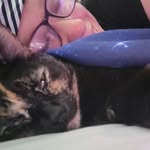 Nova Young - @supernova_9898 - Instagram