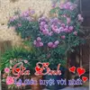 Nu Phan - @nuphan36 - TikTok