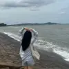Nữ Phan - @phannuday - TikTok