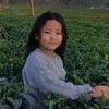 Nuyang - @nuyang24 - TikTok
