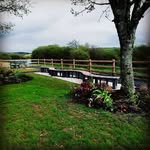 Fionnuala Collins - @collinsfionnuala - Instagram
