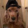 noalafraude - @noalafraude - TikTok