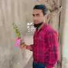 nurhossain - @nurhossain1749 - TikTok