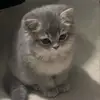 Nuree Lee - @nuree.lee - TikTok