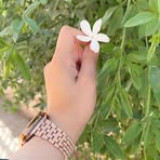 Nuzhat Ali - Facebook