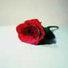 @_nuzhatshaikh - @_nuzhatshaikh - TikTok