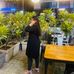 Nuzhat Shaikh - Facebook