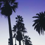 Warriors - @nyamitchell_ - Instagram
