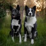 Nya | Caster & Rush - @kareliancrew - Instagram