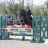 Nyah Taylor - @nyah.taylor.equestrian - TikTok