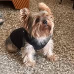 Nydia Ramos - @tshirtscomoloco - Instagram