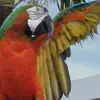 nydiaramos10 - @nydiaramos10 - TikTok