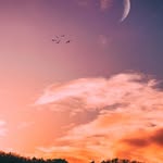 Nyla Ahmed - @nyla_personal - Instagram