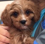 Nyla Anderson - Facebook