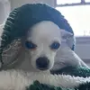 Nyla - @nylaanderson1303 - TikTok
