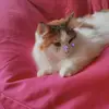 I don’t use this account - @nylah.martin - TikTok