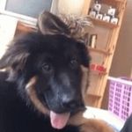 Nyla Martin - @nyla_5299 - Instagram