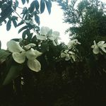 Nyree Smith - @eeryns_time_to_shine - Instagram