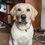 Oakley Atkinson - Facebook