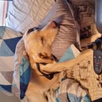 Oakley Barton - Facebook